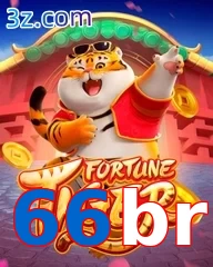 66br