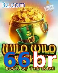 66br