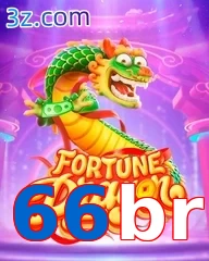 66br